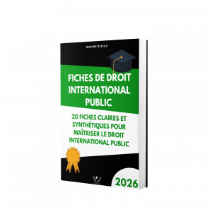 Fiches de droit international public