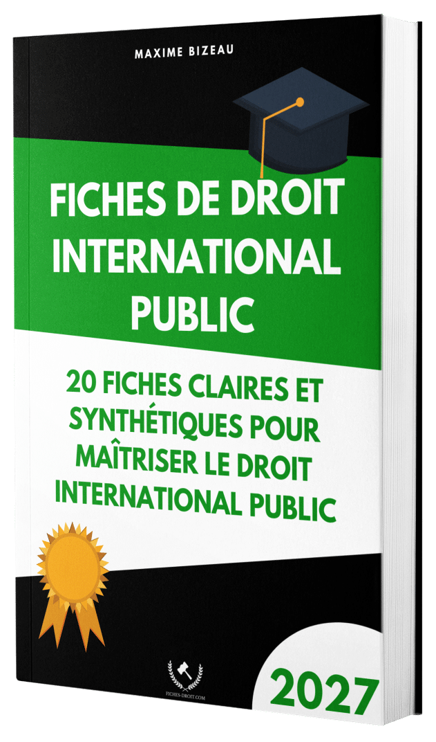 Fiches de droit international public